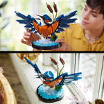 LEGO Icons Kingfisher Bird - 10331