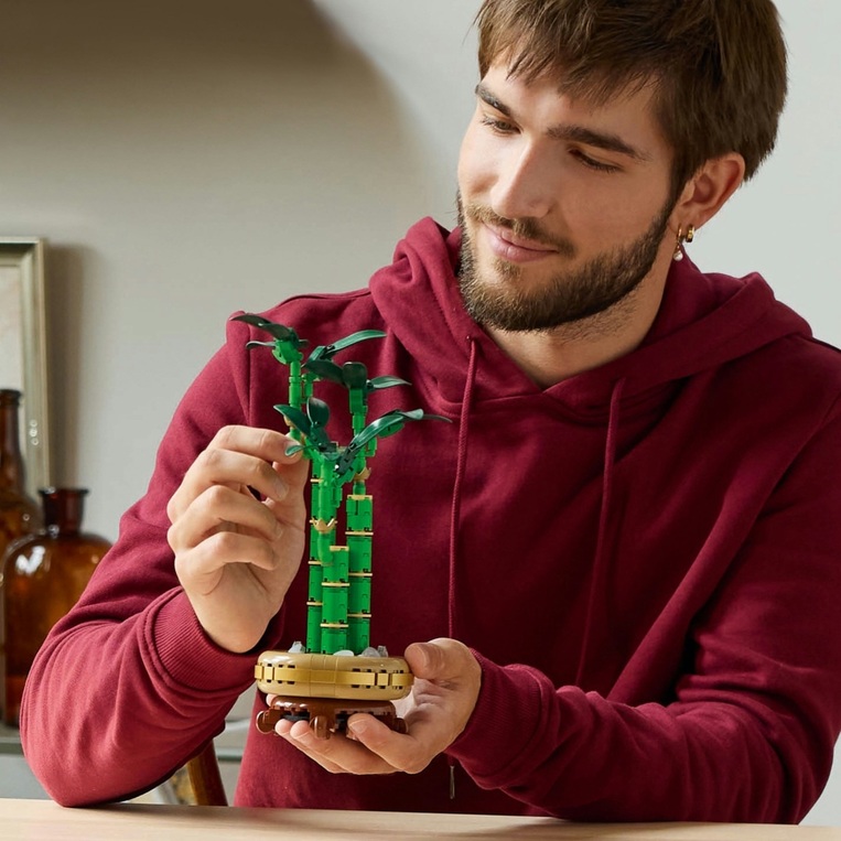 LEGO Botanical Lucky Bamboo - 10344