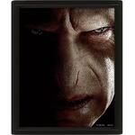 Harry Potter (Harry VS Voldemort) 26 x 4cm 3D Lenticular Poster (Framed) - EPPL71335