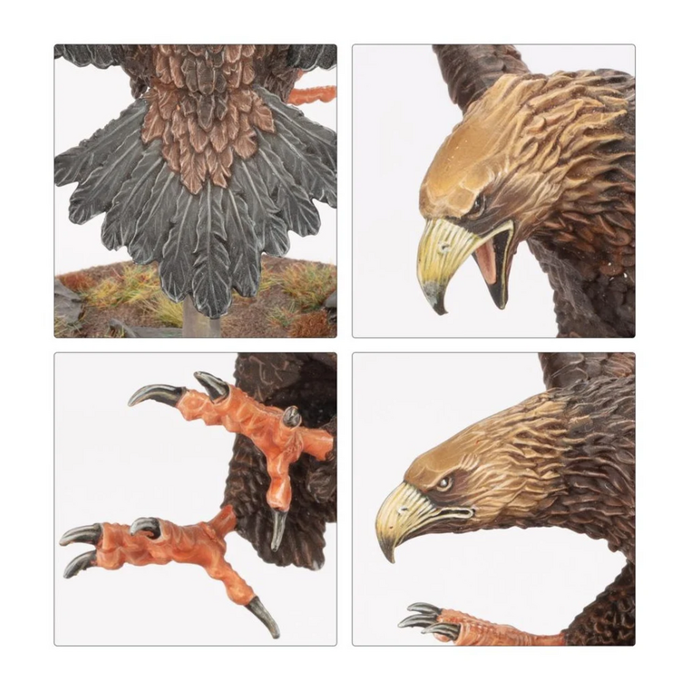 Great Eagles - Middle-earth SBG