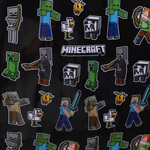 Minecraft ABS Trolley Suitcase 55cm - T973-834