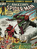 MARVEL Spider-Man (Green Goblin)  Canvas Print 60 x 80cm - WDC90445