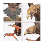 Great Eagles - Middle-earth SBG