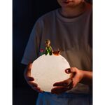 The Little Prince 3D lamp - LAMP005